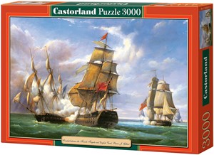 Copy of Combat Puzzel (3000 stukjes) 43062041123