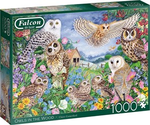 Falcon - Owls in the Wood Puzzel (1000 stukjes) 28655517057
