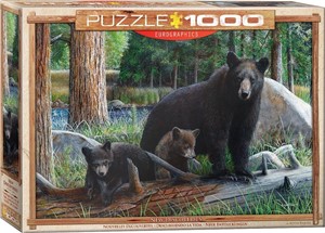 New Discoveries Puzzel (1000 stukjes) 27731631047