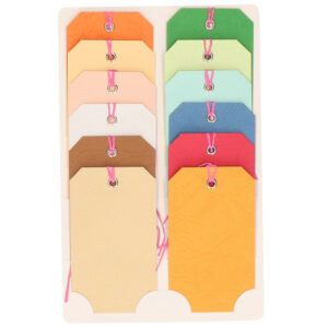 Setje van 12x gekleurde cadeau tags/labels kraftpapier/karton aan een touwtje 5