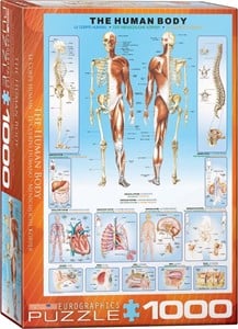 The Human Body Puzzel (1000 stukjes) 28561473953